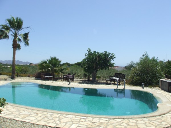 Fantastic Swimming Pool at Finca Arboleda